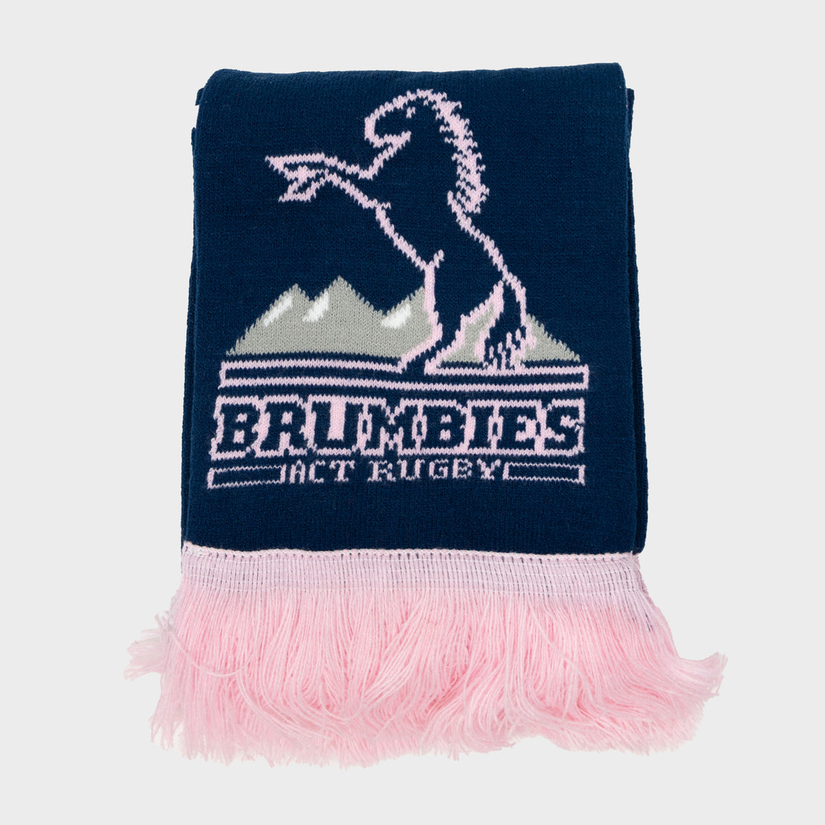 '24 Supporter Pink Game Day Scarf