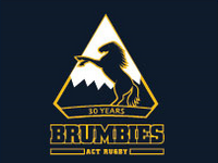 Load image into Gallery viewer, 30 Years Retro Polo
