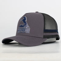 Load image into Gallery viewer, &#39;25 Supporter Steeler Trucker Cap
