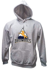 Load image into Gallery viewer, Unisex Grey Retro Supporters Hoodies
