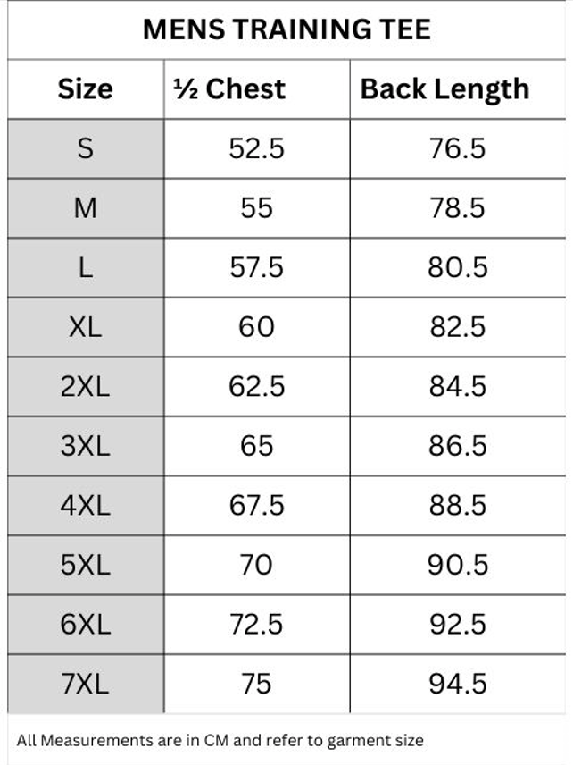 Brumbies 2026 Mens Players Training Tee