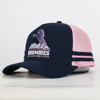 Load image into Gallery viewer, &#39;25 Supporter Ruby Trucker Cap
