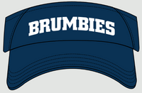 Load image into Gallery viewer, &#39;25 Visor
