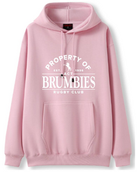 Load image into Gallery viewer, &quot;PROPERTY OF&quot; Pink Hoodie
