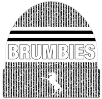 Load image into Gallery viewer, Supporter Grey Stripe Beanie
