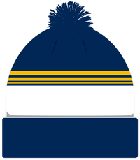 Load image into Gallery viewer, Brumbies Supporter Retro Beanie
