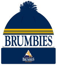 Load image into Gallery viewer, Supporter Retro Beanie
