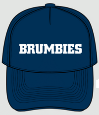 Load image into Gallery viewer, &#39;25 Tech Training Cap
