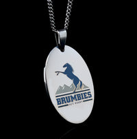 Load image into Gallery viewer, A&amp;C Oval Pendant with 50 cm chain
