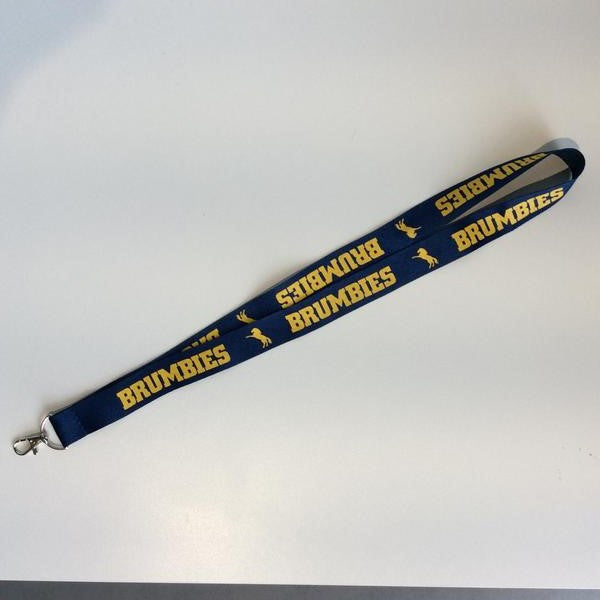 Lanyard